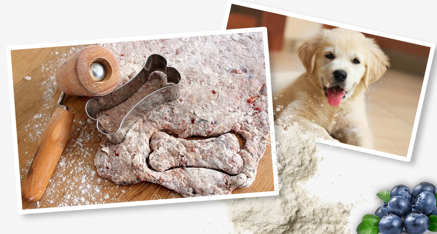 Rezept: Blaubeer-Rindfleisch-Hundekekse