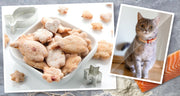 Das Rezept für Lachs-Kekse wird Deine Katze lieben.