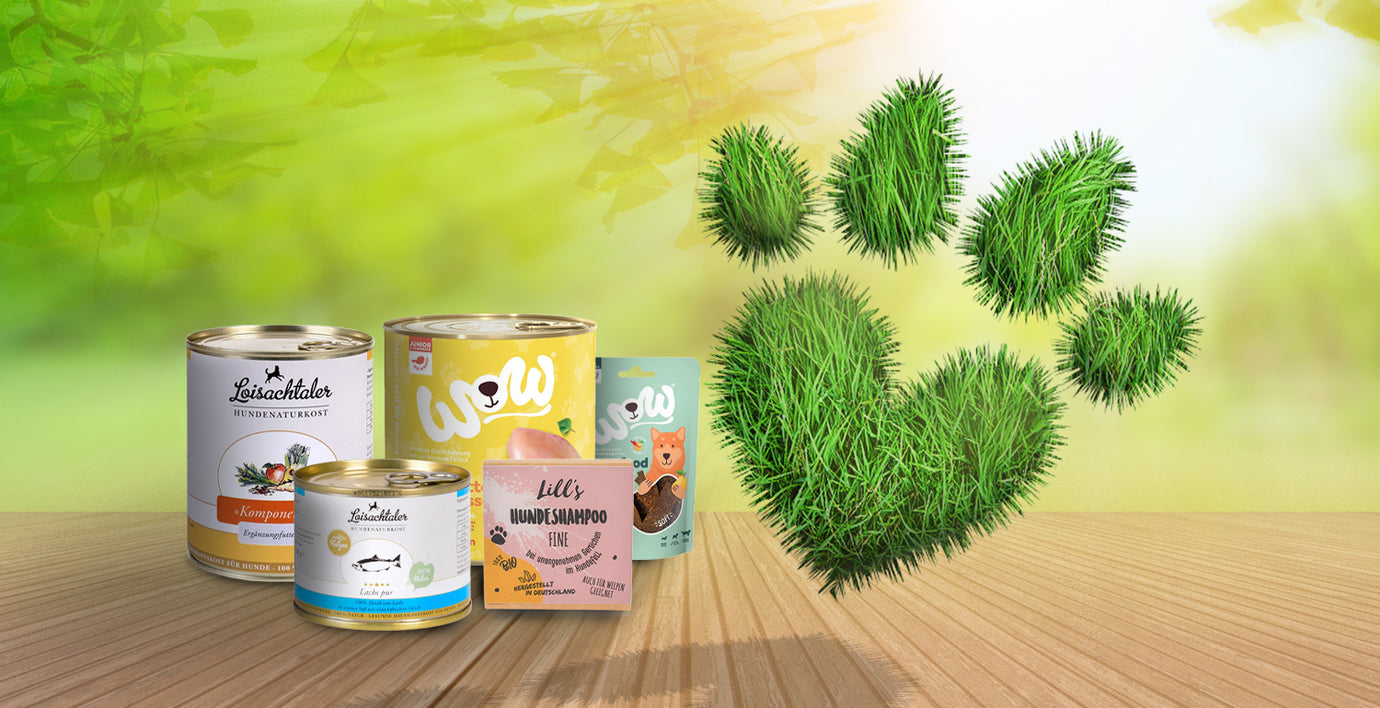 PetsFinest steht für nachhaltiges Tierfutter und -bedarf, um die Umwelt zu schonen.