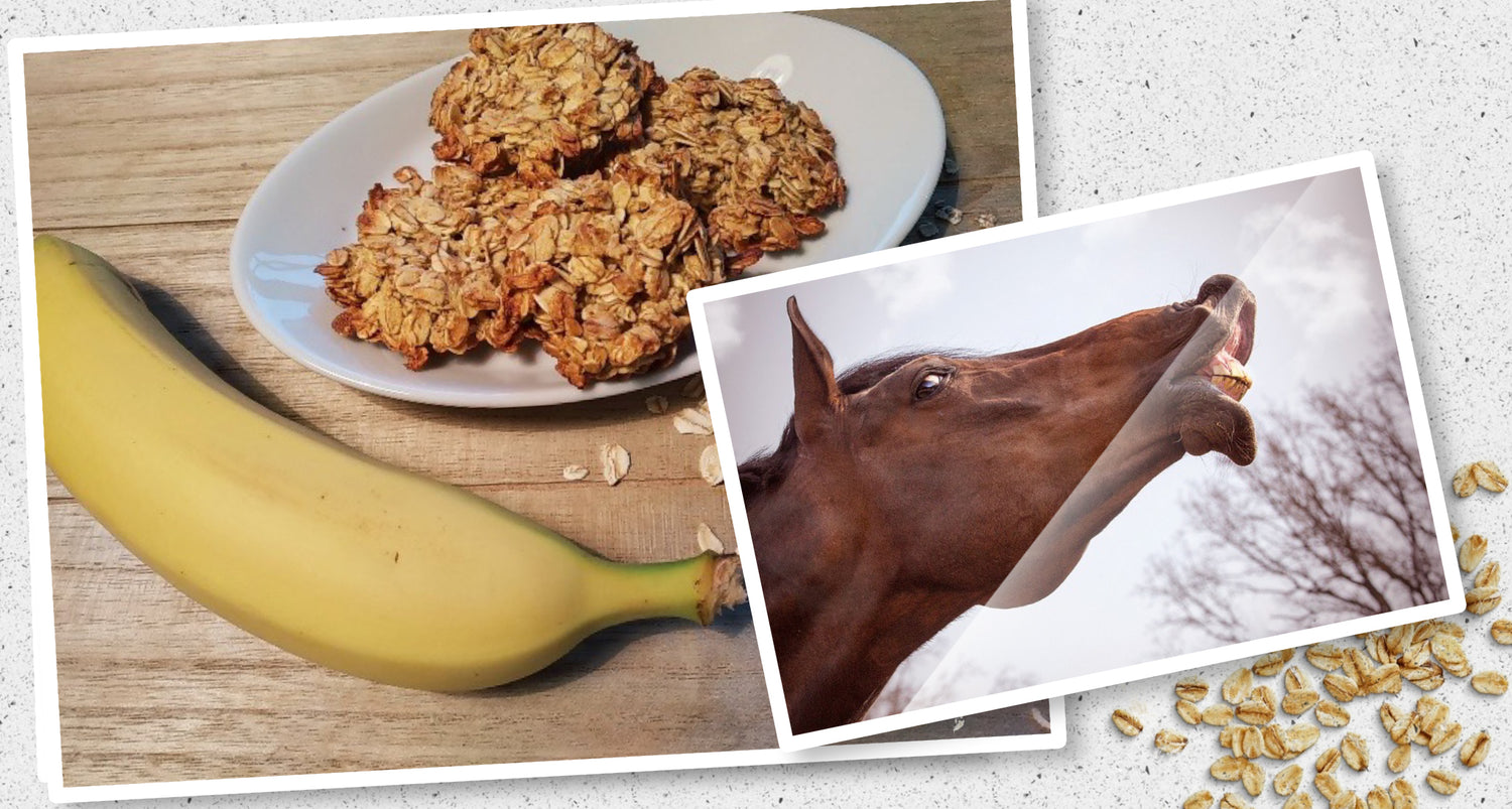 Unser Rezept mit Hafer und Banane wird Dein Pferd mögen.