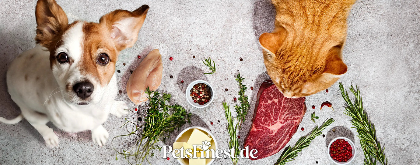 Gesunde Tiernahrung: Tierhalter setzen heutzutage zunehmend auf natürliches und nachhaltiges Futter.