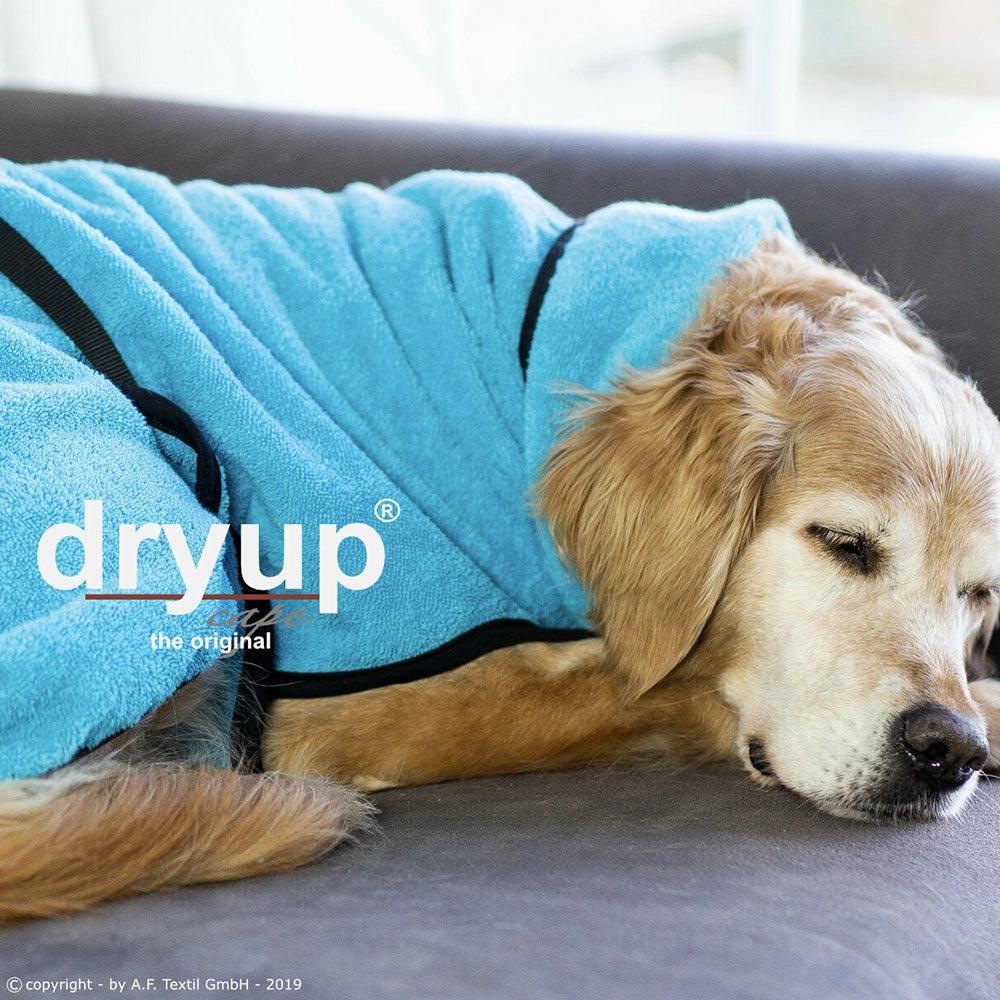 actionfactory | dryup Hundebademantel-PetsFinest