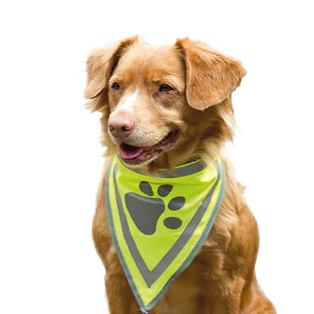 beeztees | Safety Gear Neckerchief L-PetsFinest