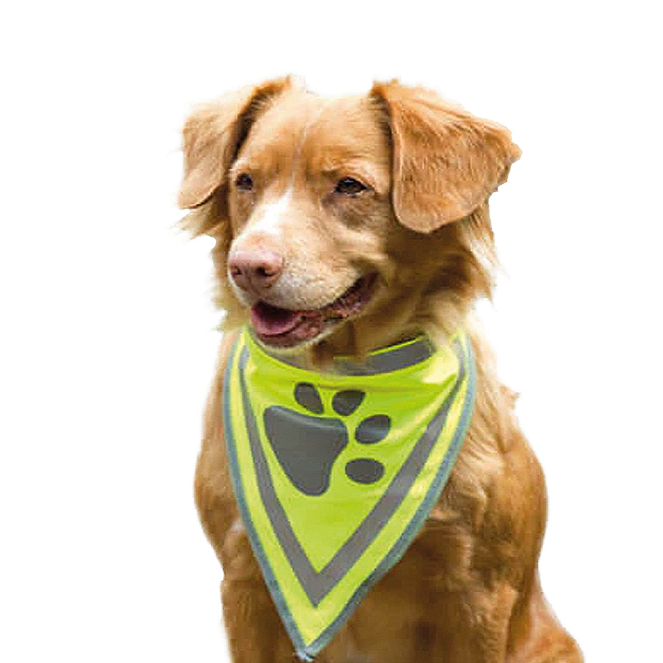 beeztees | Safety Gear Neckerchief L-PetsFinest