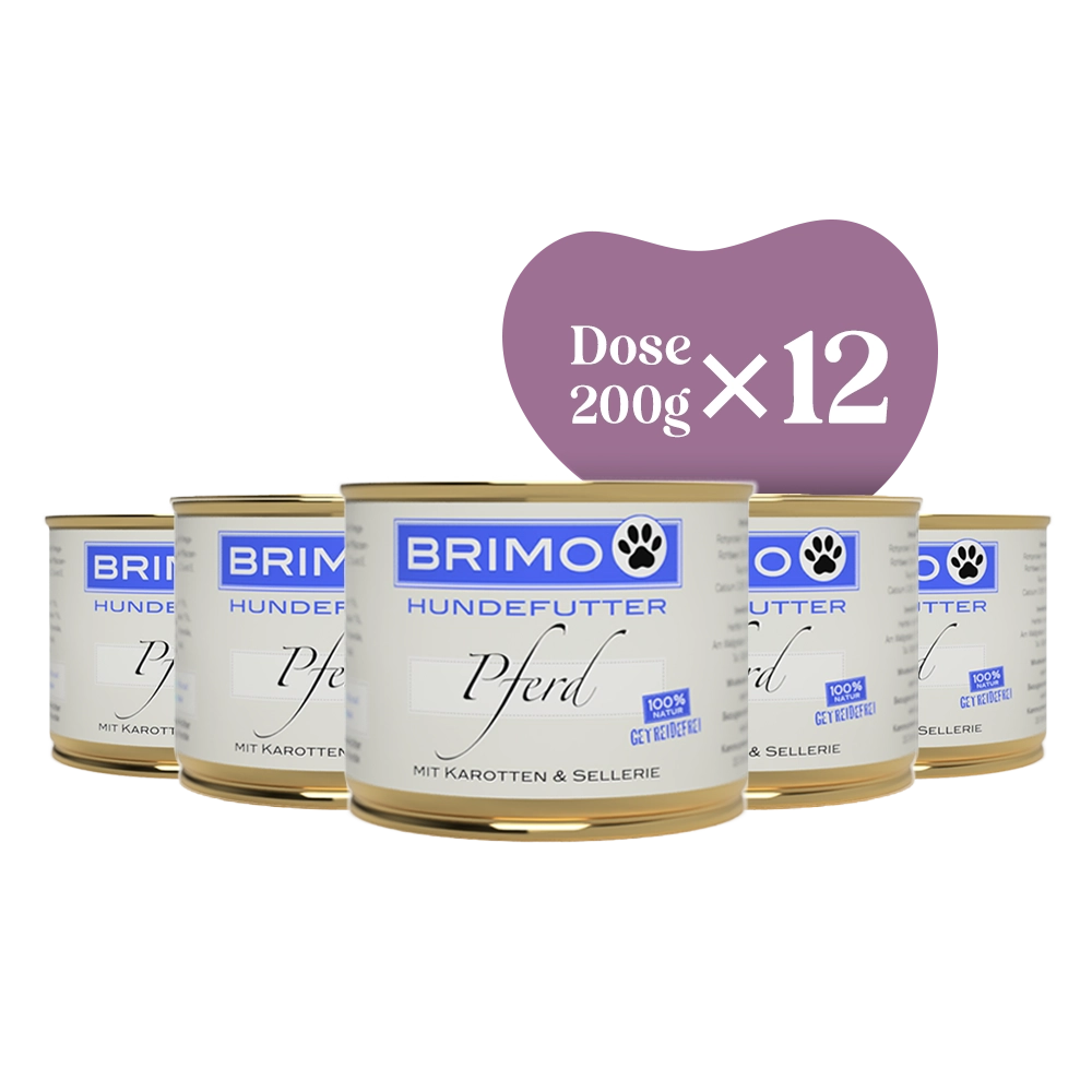 Brimo | Pferd mit Karotte