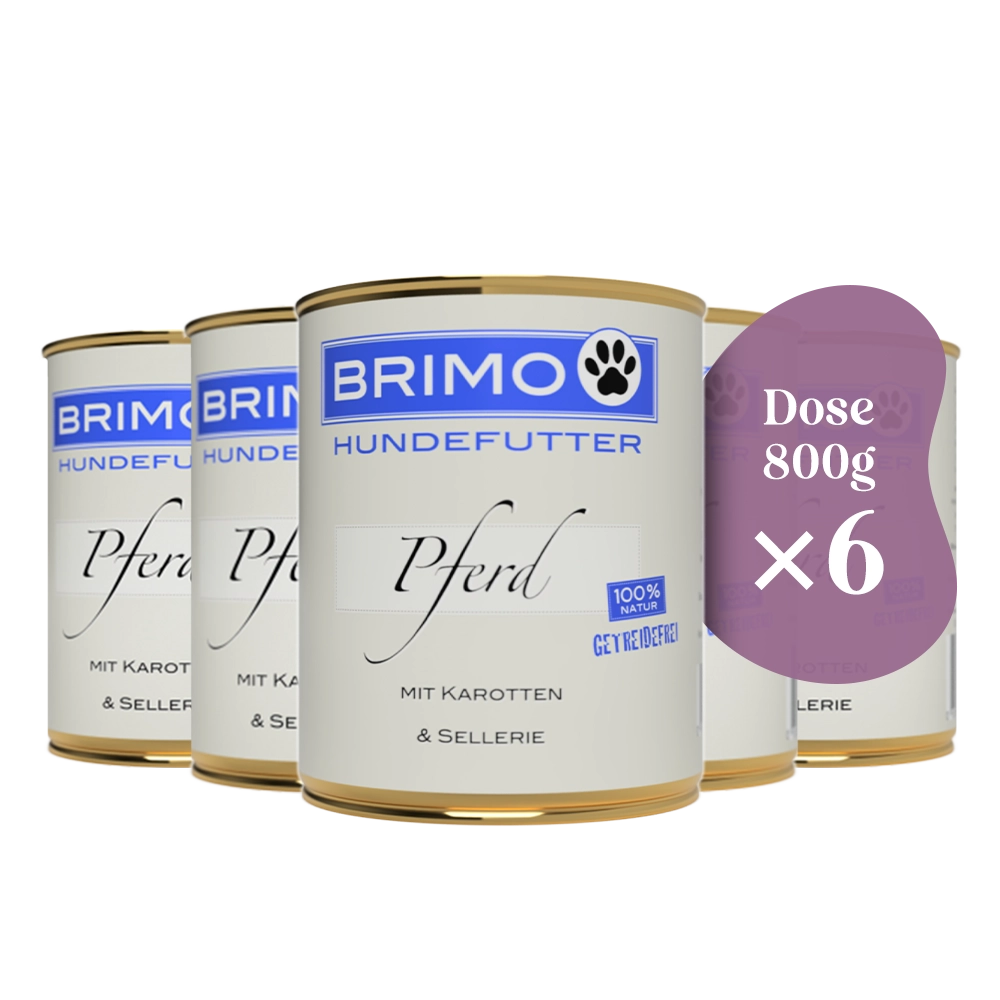 Brimo | Pferd mit Karotte