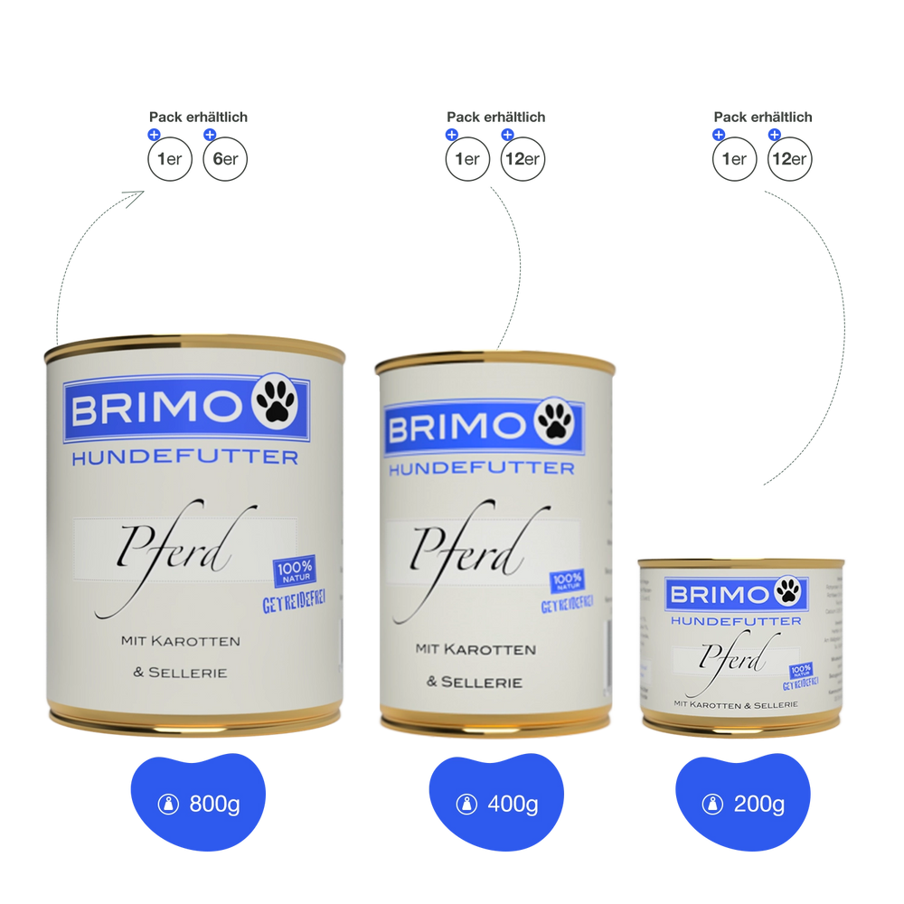 Brimo | Pferd mit Karotte