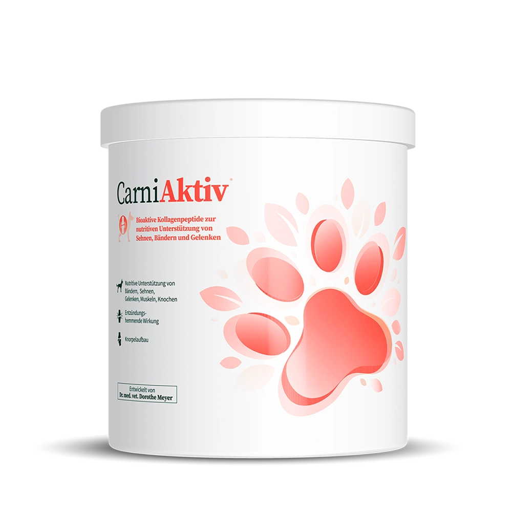 CarniMed | CarniAktiv