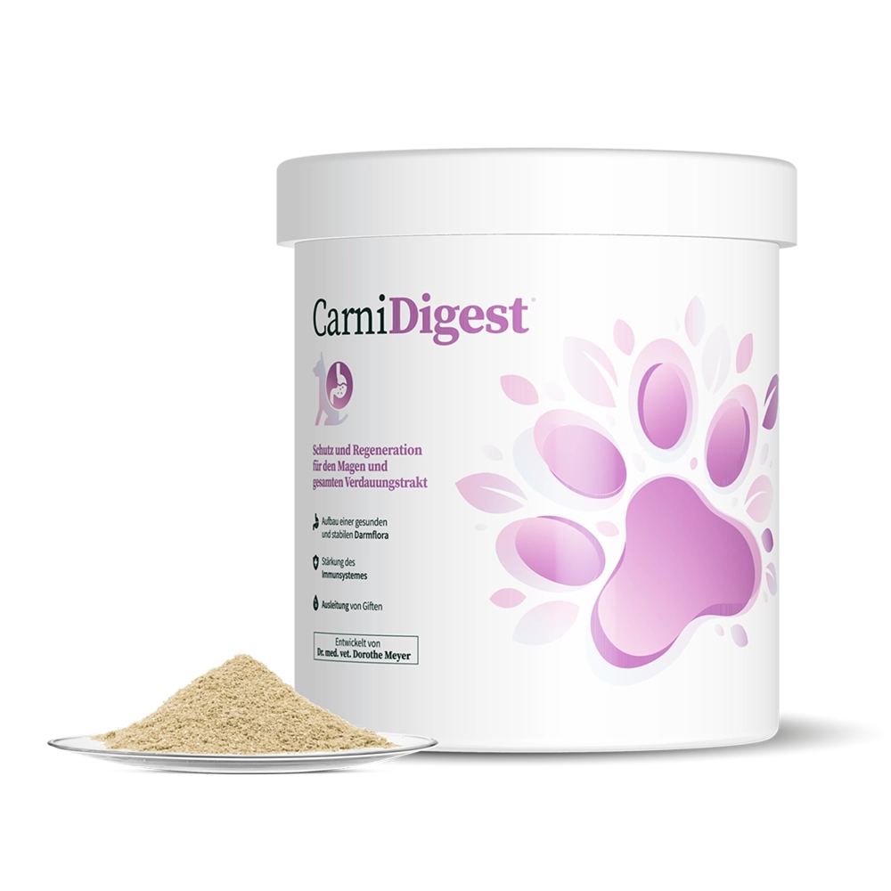 CarniMed | Carnidigest 250 g