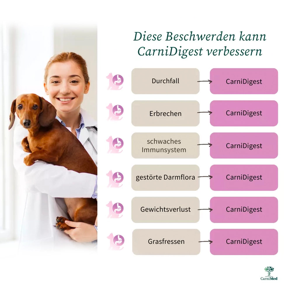 CarniMed | Carnidigest 250 g