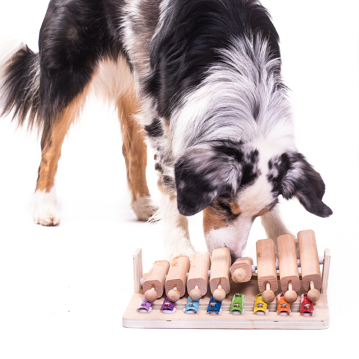 My Intelligent Pets | Pets Piano-PetsFinest