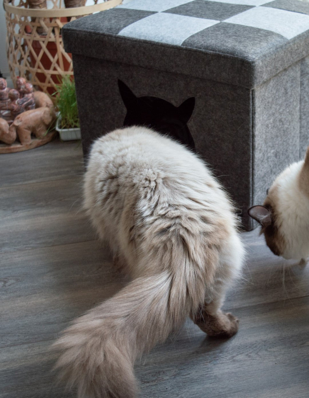 Let's sleep Pet | Katze | Cube | helles/dunkelgrau-PetsFinest