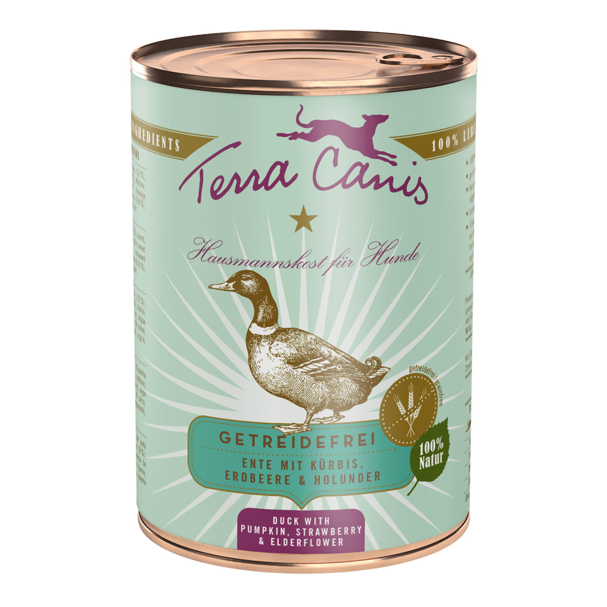 Terra Canis | Ente mit Kürbis Erdbeeren und Holunder-PetsFinest