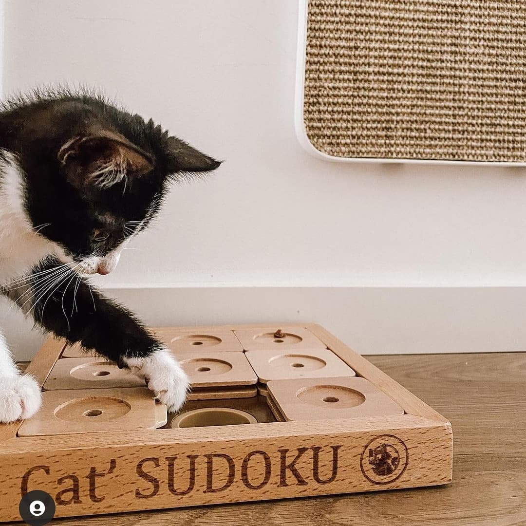 My Intelligent Pets | Dog' - Cat' Sudoku Small Expert Classic-PetsFinest