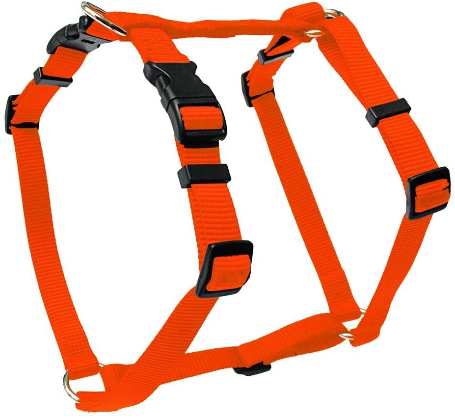 Wolters | Geschirr Basic-PetsFinest