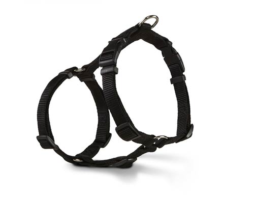 Wolters | Geschirr Basic-PetsFinest