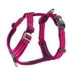 Dog Copenhagen | Comfort Walk Air Hundegeschirr-PetsFinest