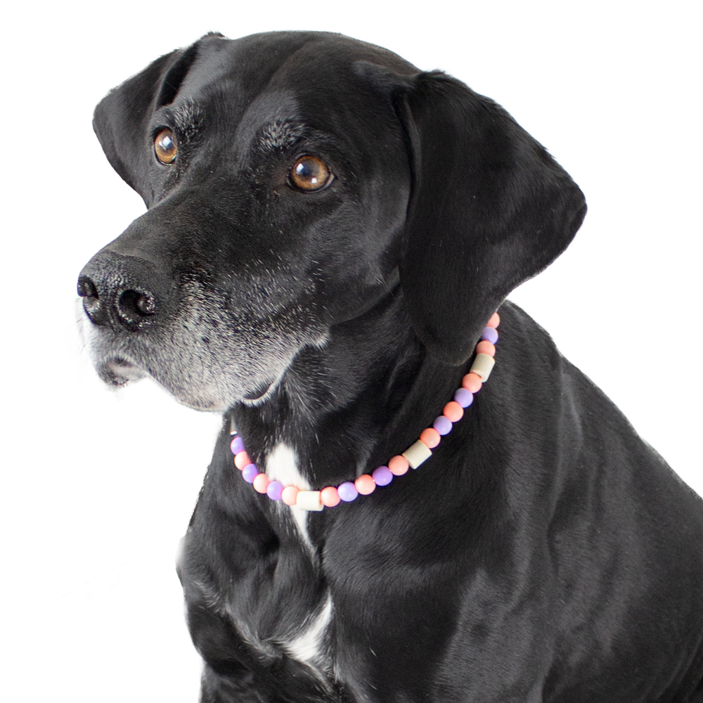 PetsFinest | EM-KeramikKette Zeckenkette rosa-lila-PetsFinest