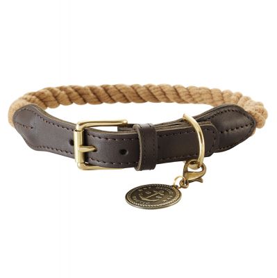 Hunter | Tau-Halsband-PetsFinest