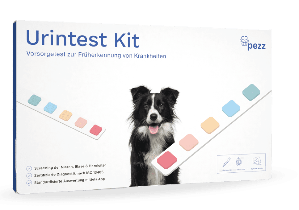 Pezz life | Urintest Kit für Hunde-PetsFinest