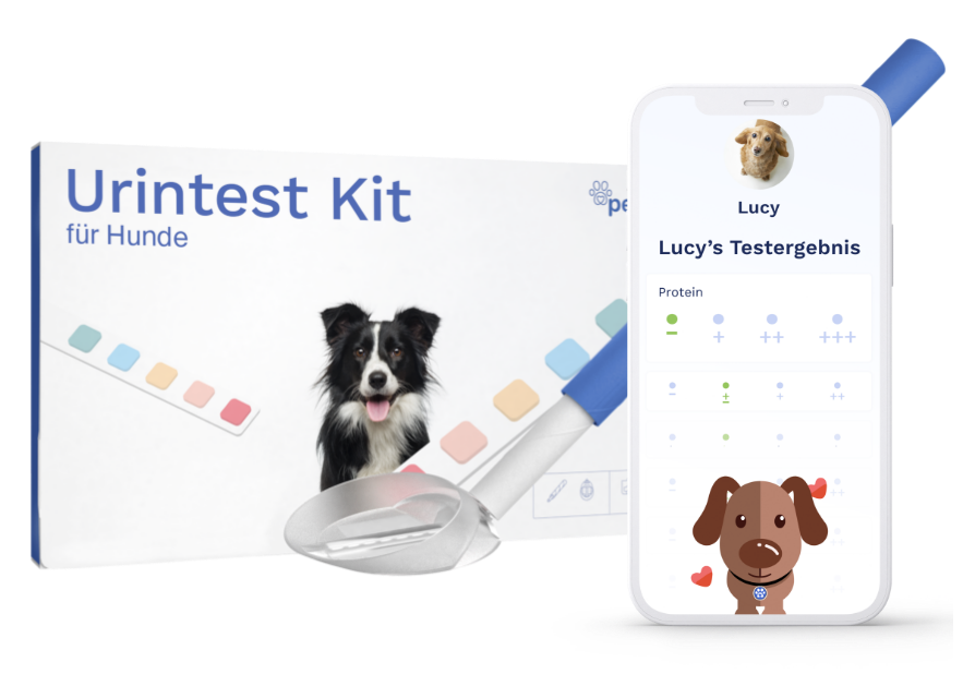 Pezz life | Urintest Kit für Hunde-PetsFinest