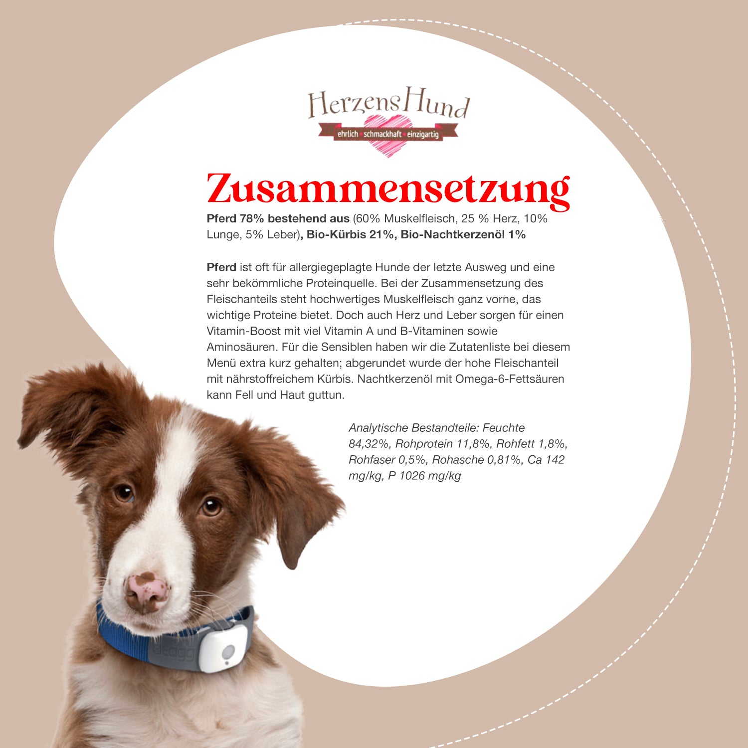 HerzensHund | Pferd mit Bio-Kürbis-PetsFinest