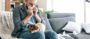 Hundeallergie? – Tipps und Hunderassen für Allergiker