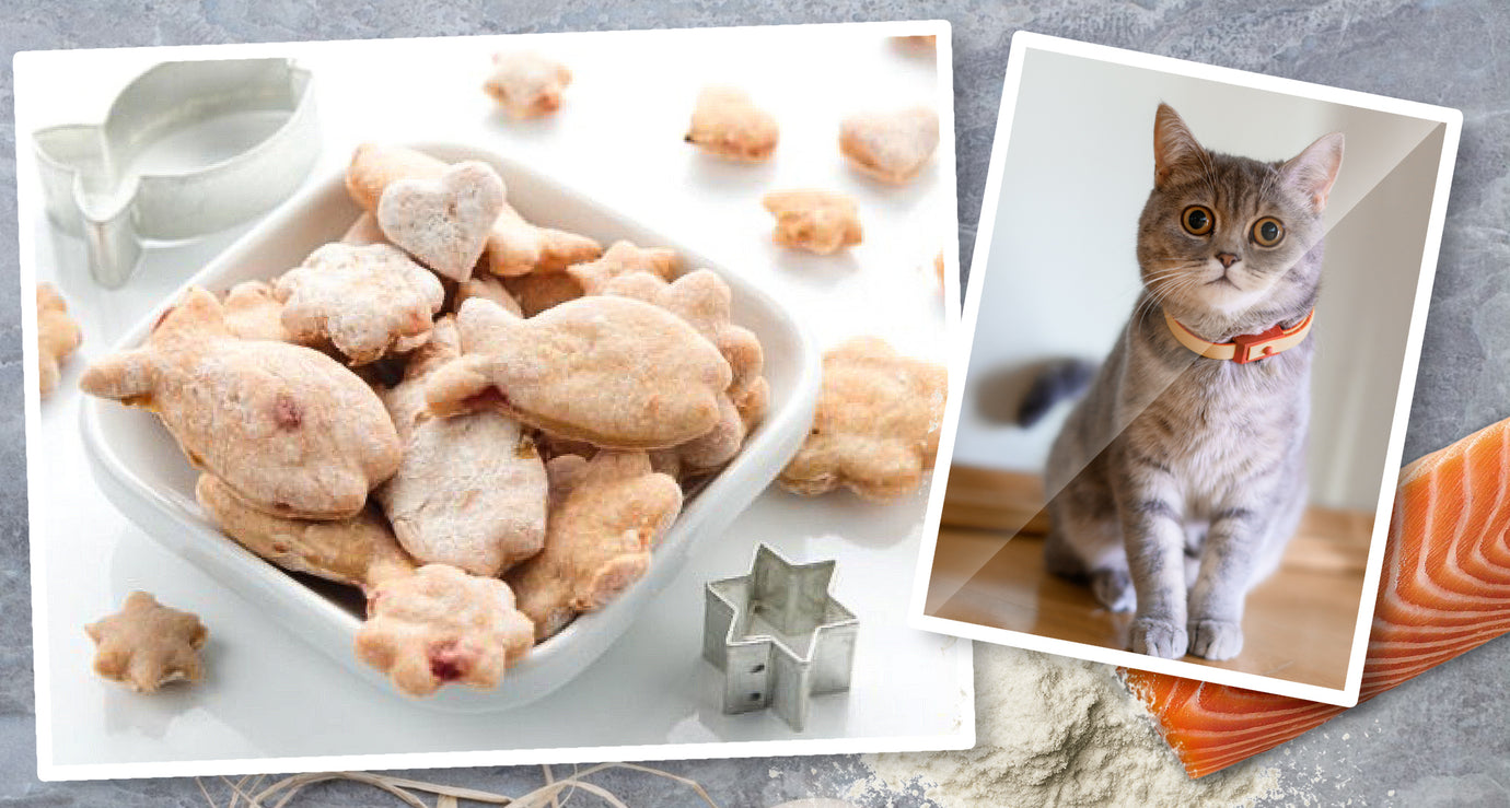 Das Rezept für Lachs-Kekse wird Deine Katze lieben.
