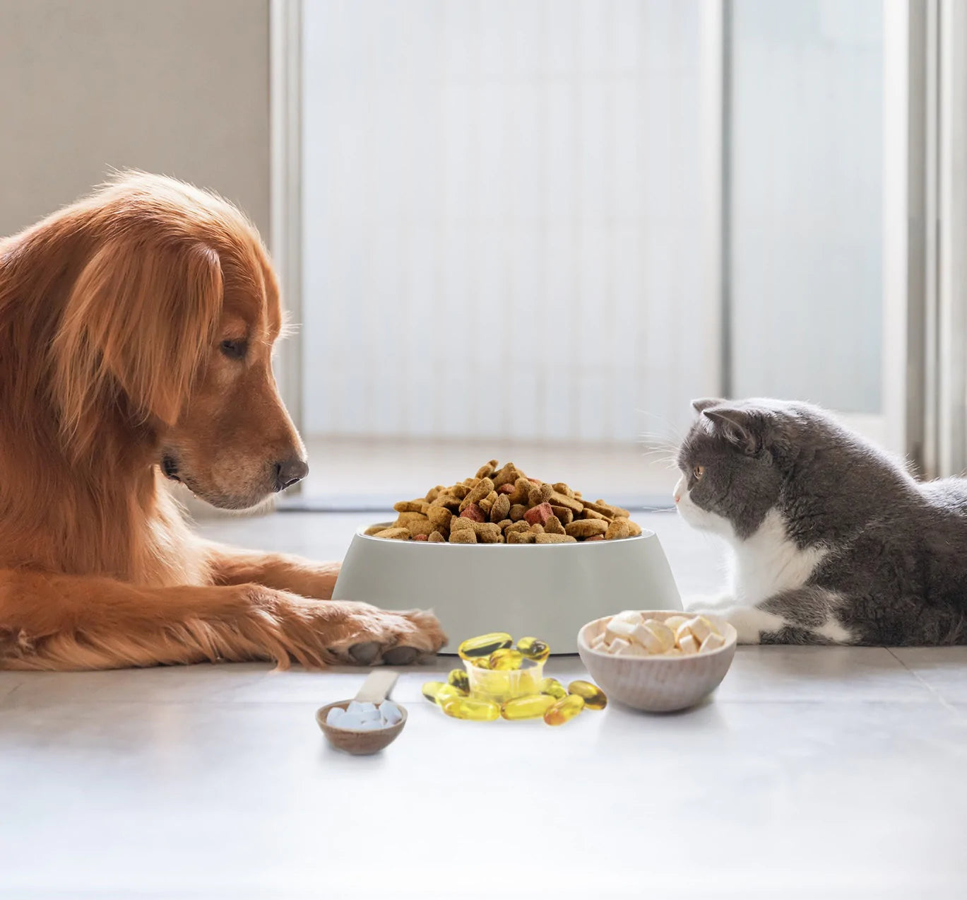 Nahrungsergänzungsmittel für Hund+Katze liegen im Trend.