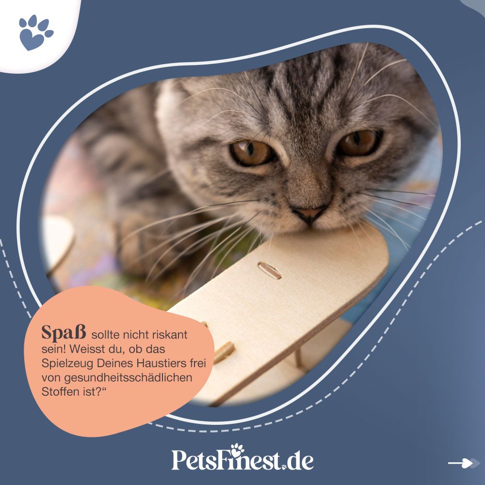 Bei PetsFinest gibt es unbedenkliches Haustierspielzeug für Katzen und Hunde.