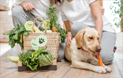 Endlich Vegan werden für Hunde – Veganuary kann Euch unterstützen!