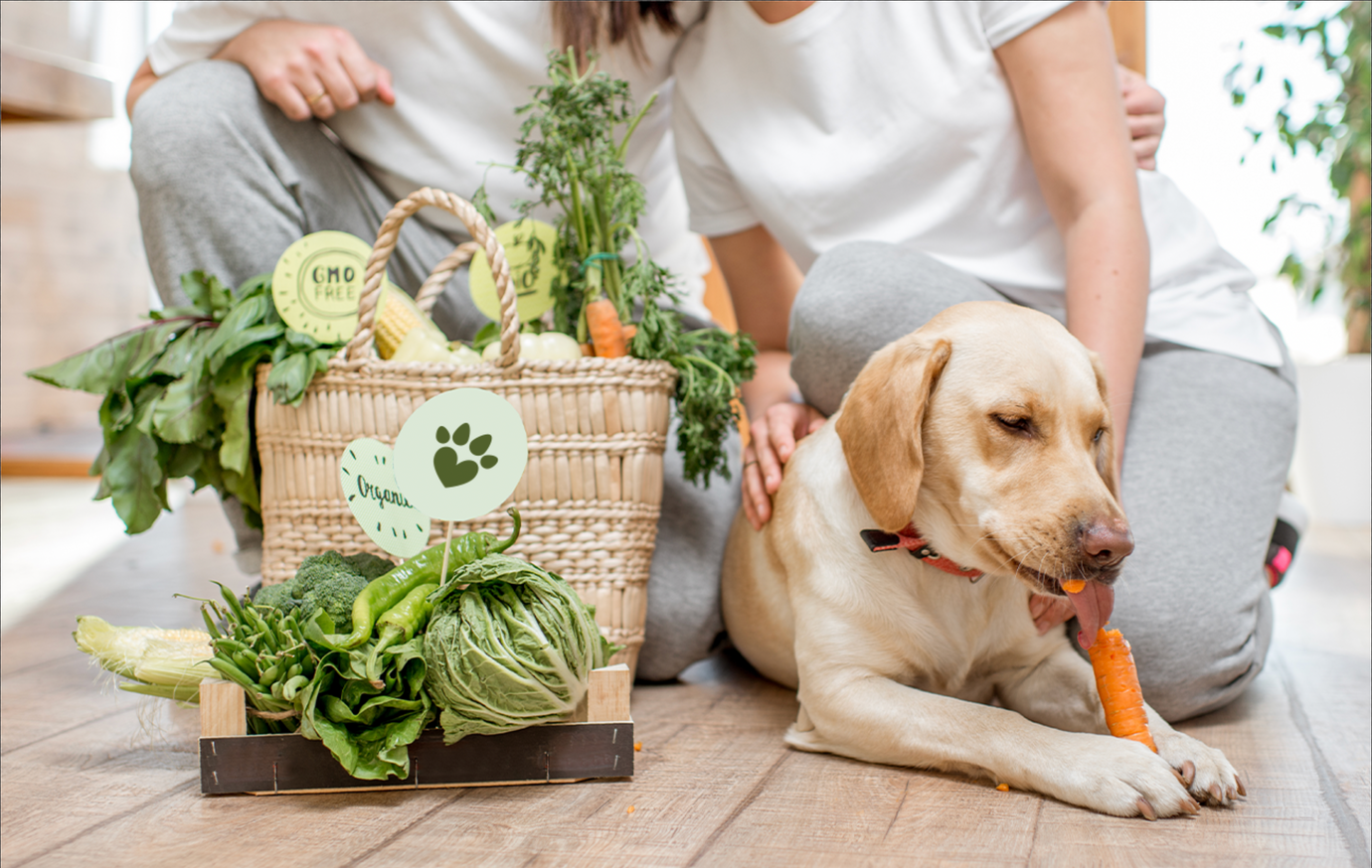 Auch Hunde können von veganem Hundefutter profitieren.