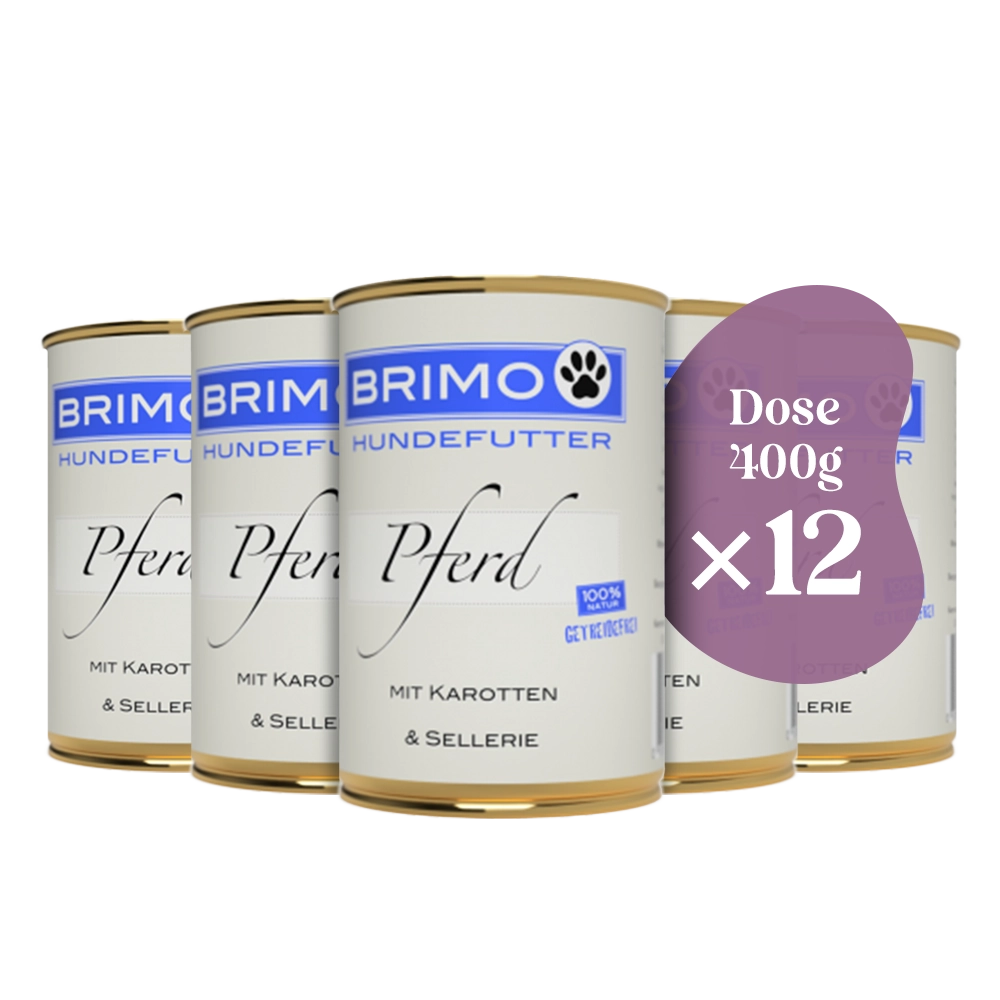 Brimo | Pferd mit Karotte