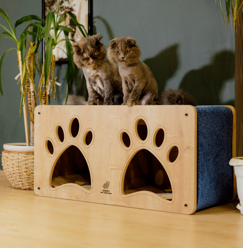 Woofy Pet | Catsy | Katzenhaus für zwei mit kratzfestem Teppich