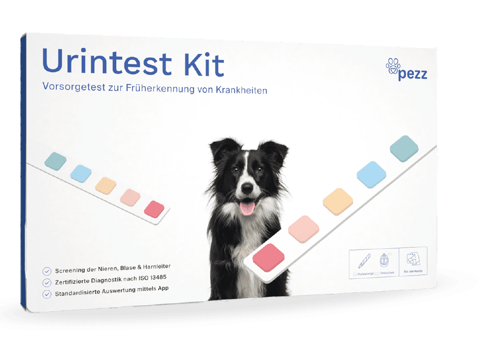 Pezz | Urine test kit for dogs