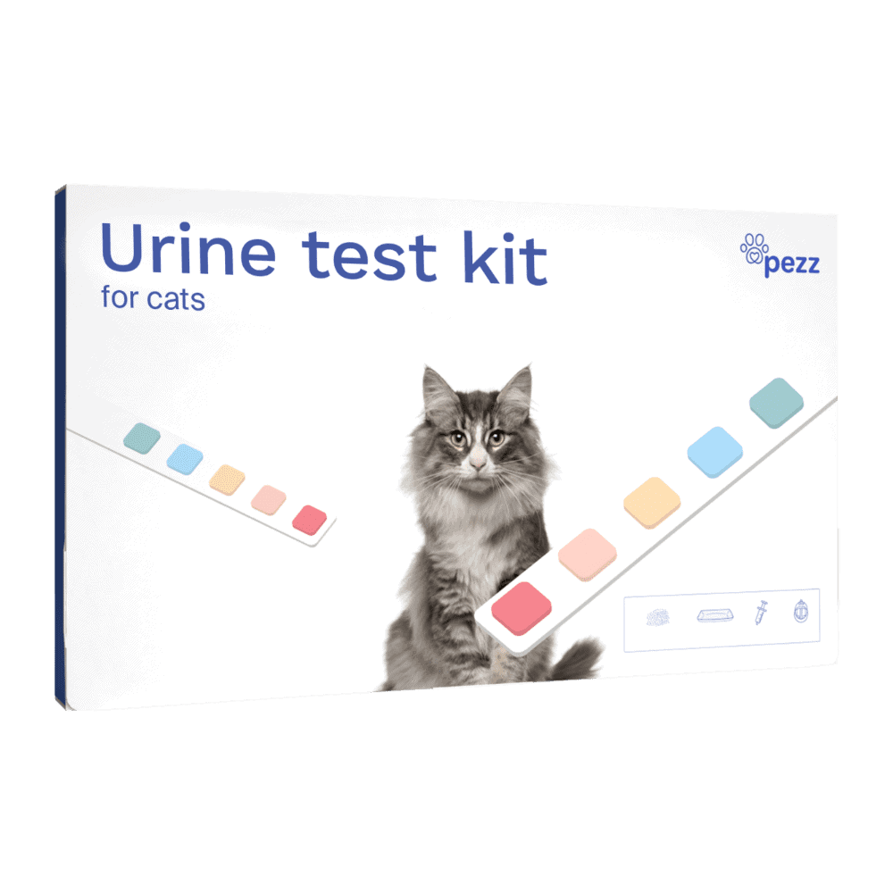 Pezz | Urine test kit for cats 