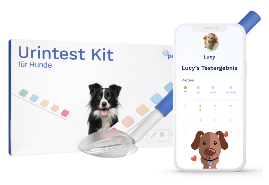 Pezz | Urine test kit for dogs